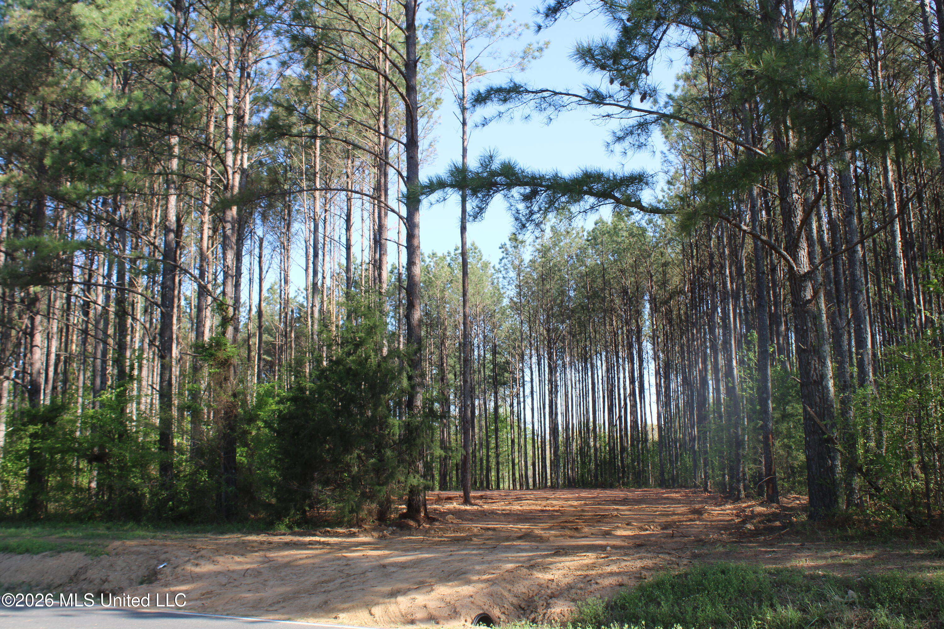 1501 South Slayden Road Lamar, MS 38642 - Photo 5 of 13 IMG_7664