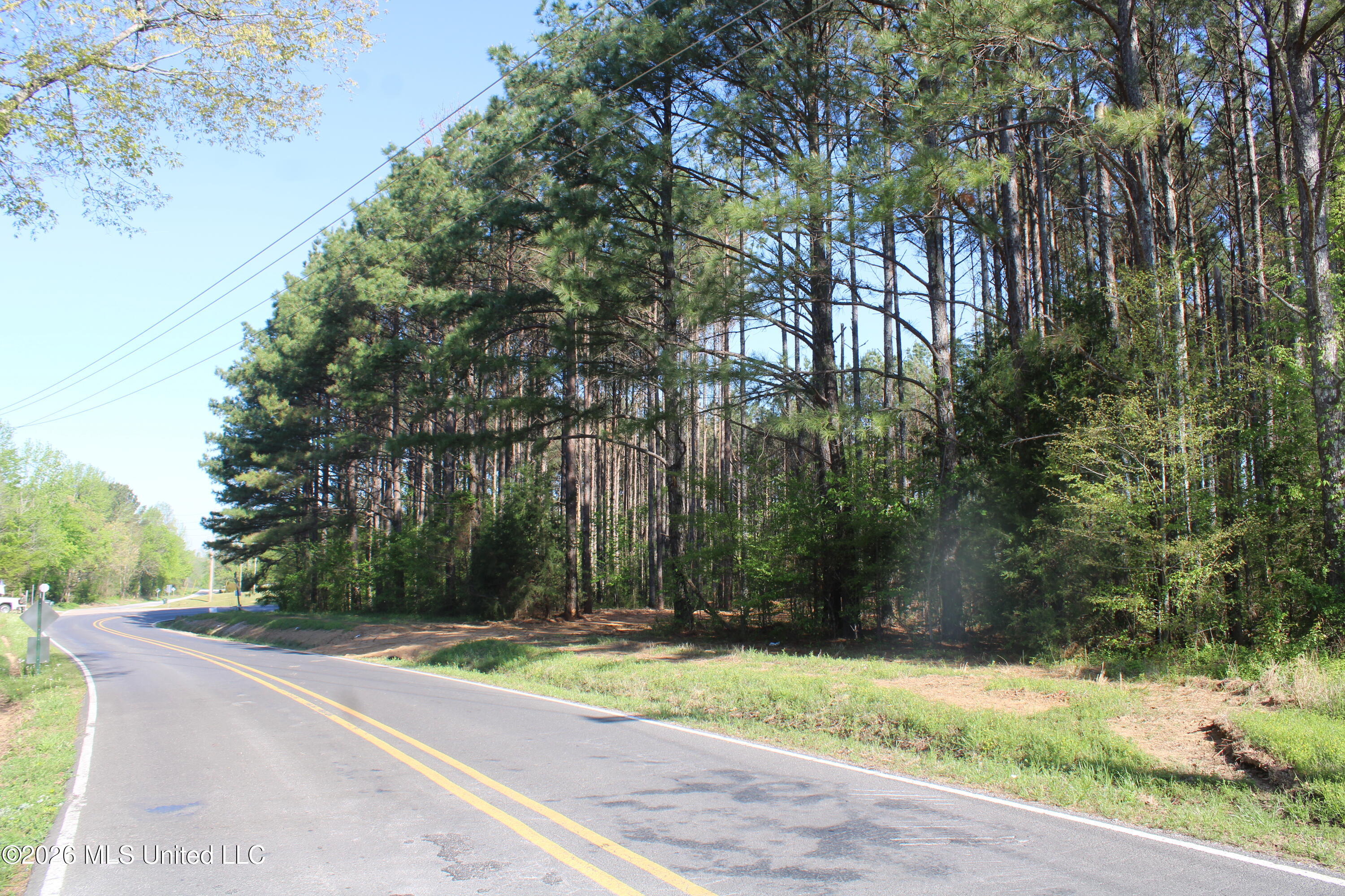 1501 South Slayden Road Lamar, MS 38642 - Photo 6 of 13 IMG_7665