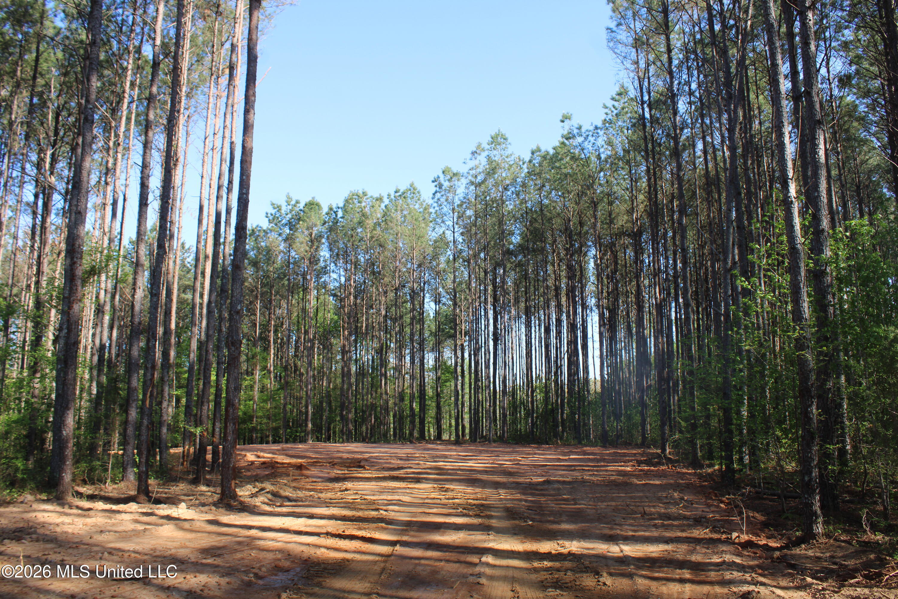 1501 South Slayden Road Lamar, MS 38642 - Photo 7 of 13 IMG_7666