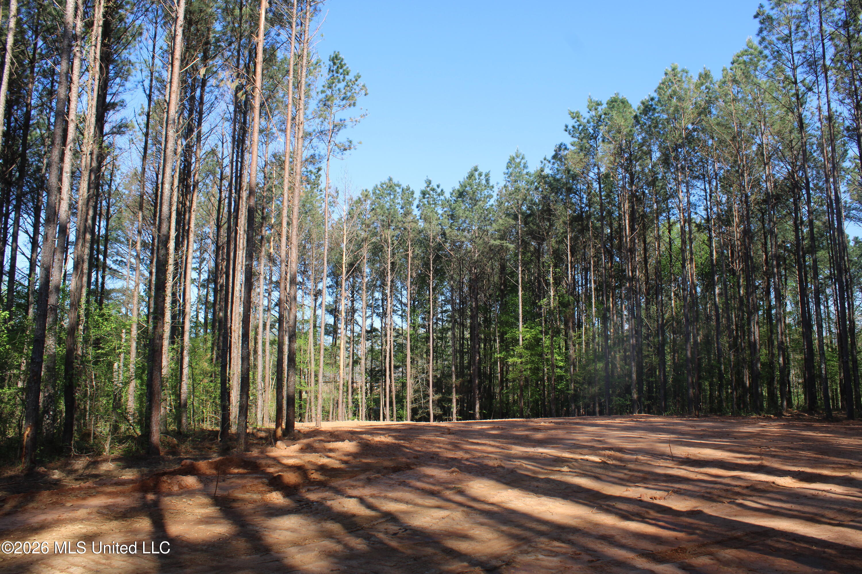 1501 South Slayden Road Lamar, MS 38642 - Photo 8 of 13 IMG_7667