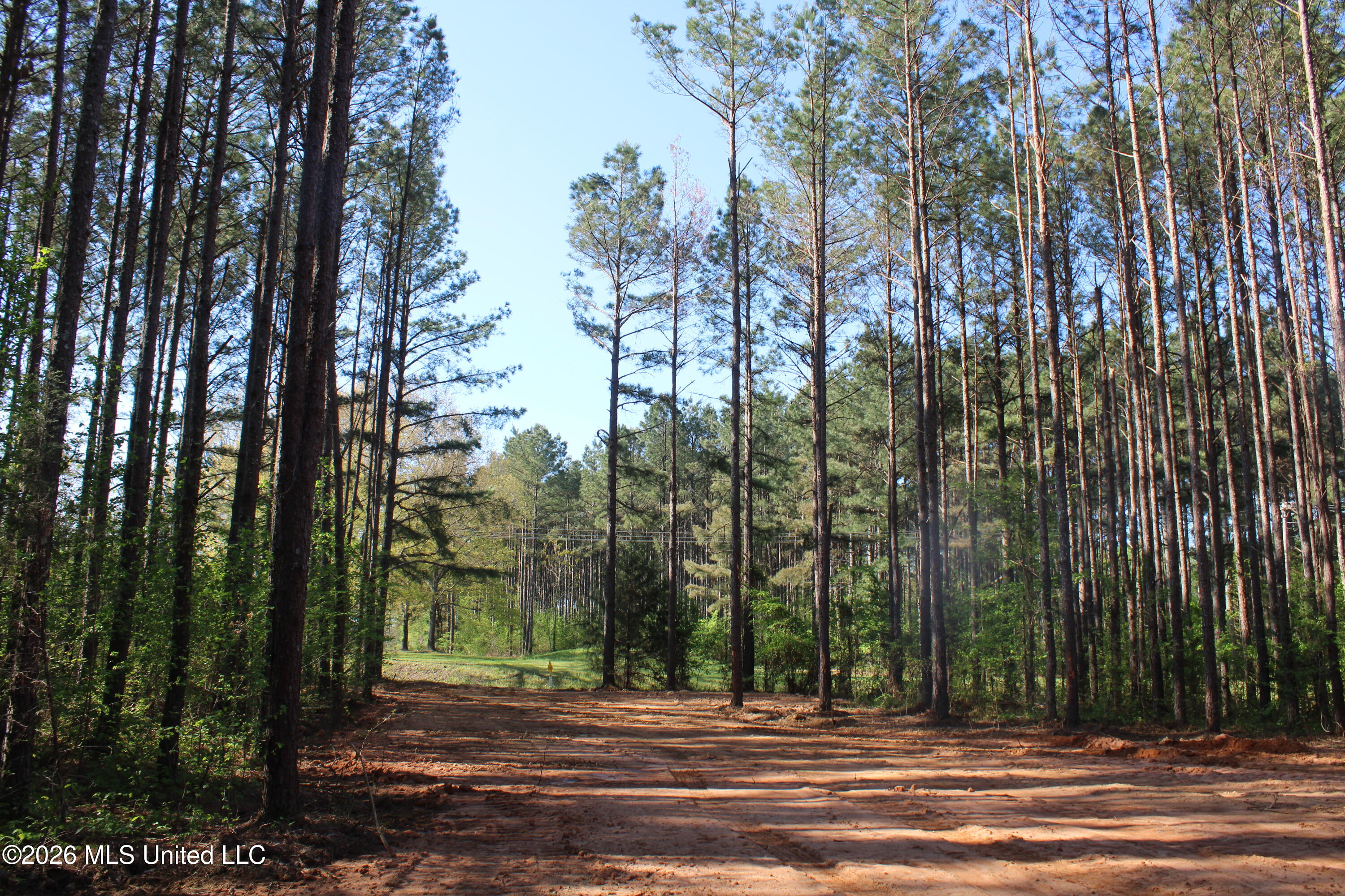 1501 South Slayden Road Lamar, MS 38642 - Photo 9 of 13 IMG_7668