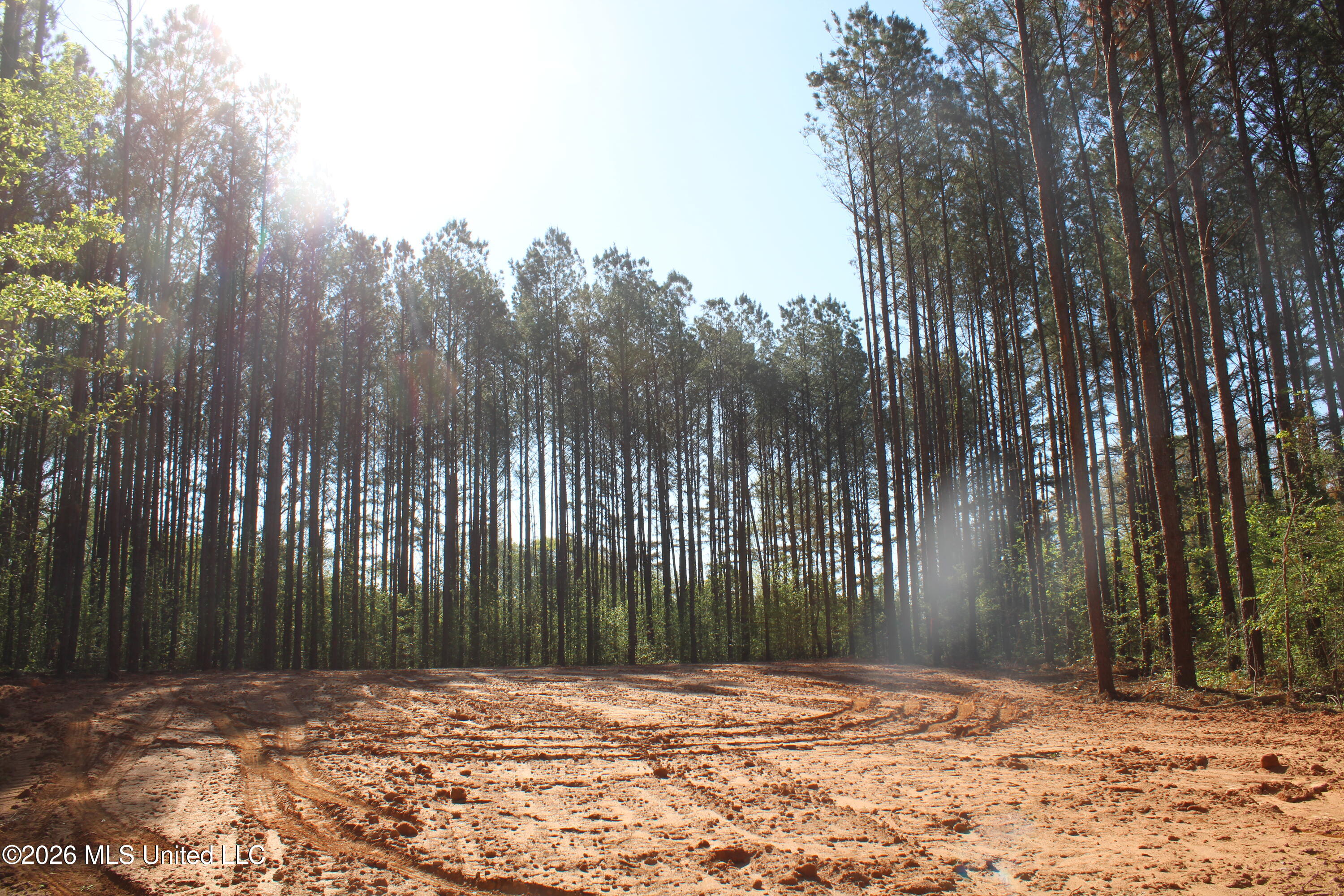 1501 South Slayden Road Lamar, MS 38642 - Photo 10 of 13 IMG_7670