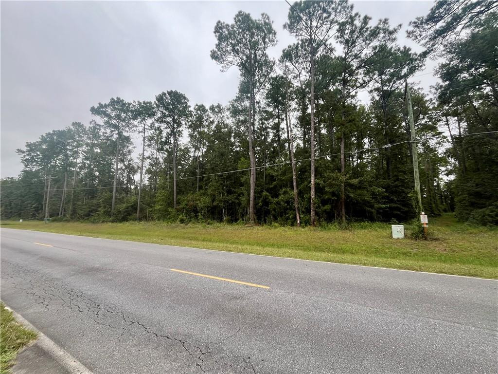 3558 Belle Hammock Road Northeast Townsend, GA 31331 - Photo 5 of 7