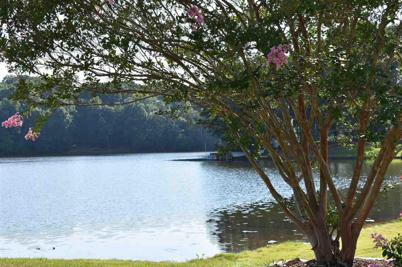 0 Reidville Road Moore, SC 29369 - Photo 2 of 7 Gallery Image 2