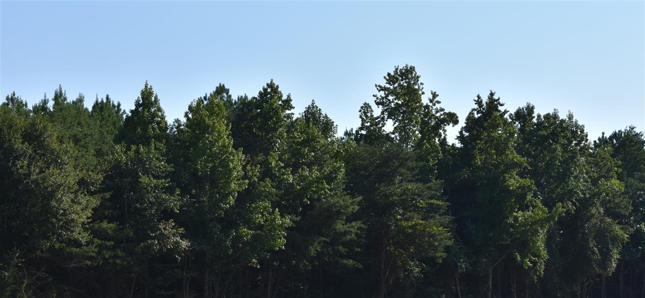 0 Reidville Road Moore, SC 29369 - Photo 3 of 7 Gallery Image 3