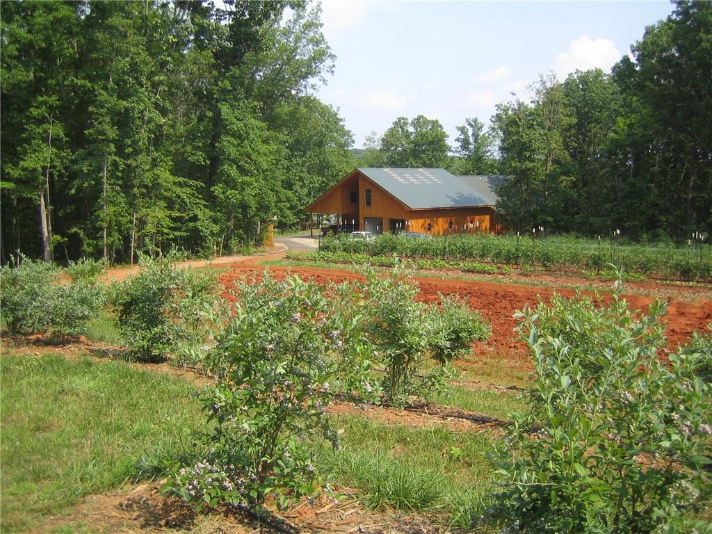 464 Poole Road Ball Ground, GA 30107 - Photo 70 of 81 Gallery Image 70