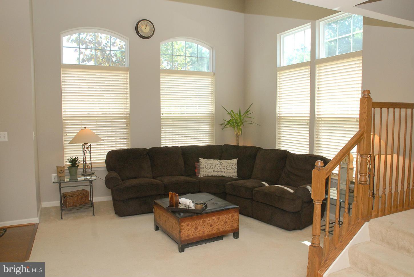6038 Machen Road, Unit 191 Centreville, VA 20121 - Photo 3 of 16 Living Room
