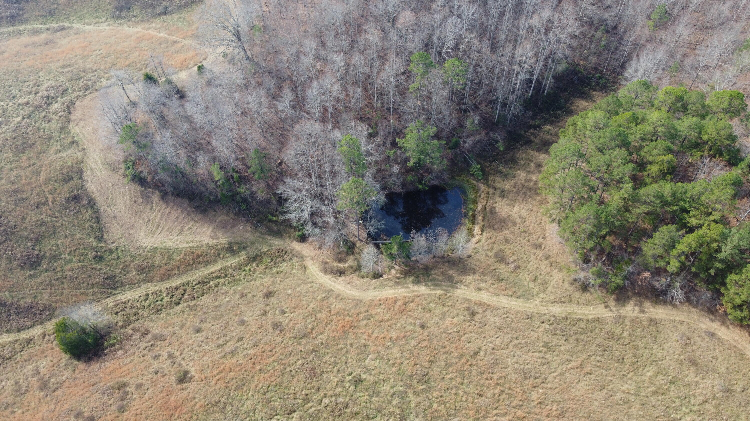 9999 Langdon Branch Road Annville, KY 40402 - Photo 5 of 13 DJI_0044