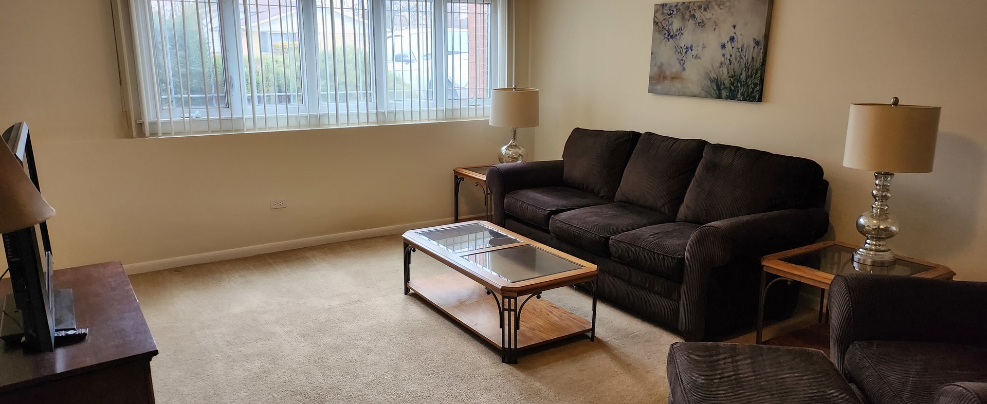 Undisclosed Address Midlothian, IL 60445 - Photo 17 of 23 a living room with furniture and a window
