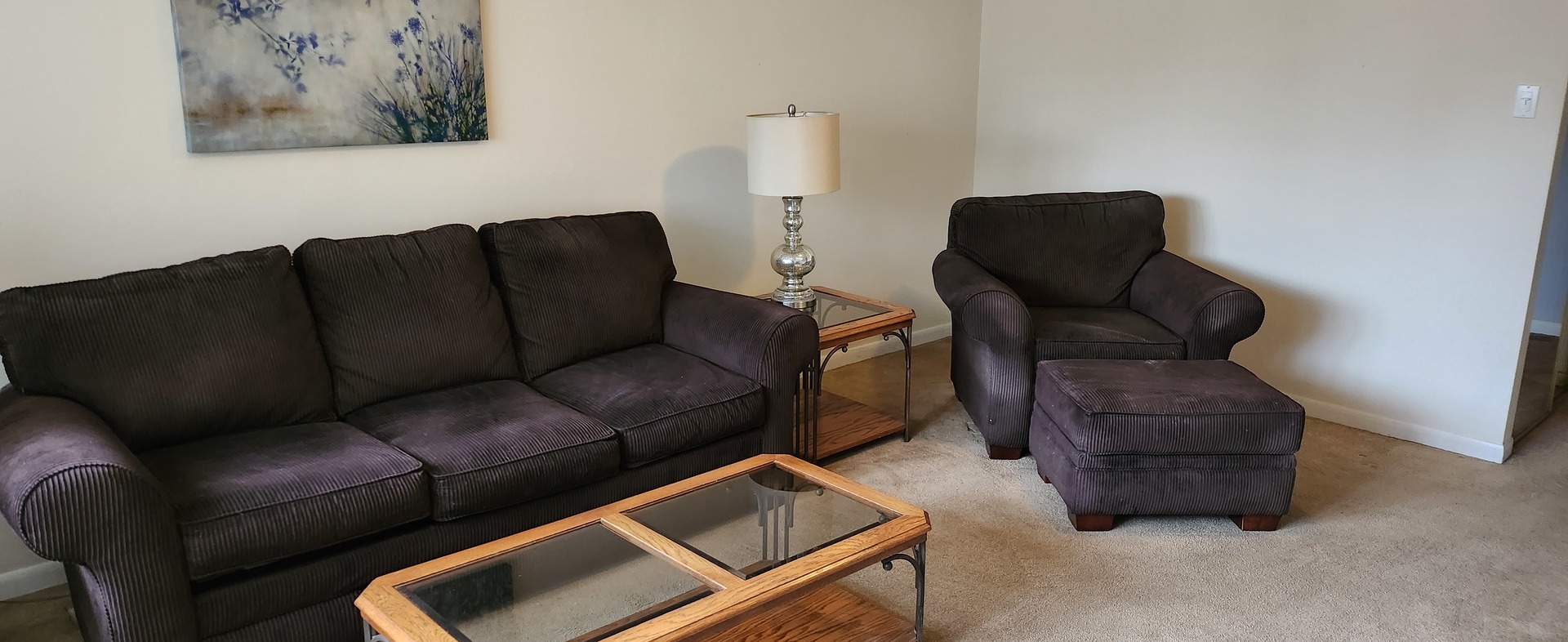 Undisclosed Address Midlothian, IL 60445 - Photo 18 of 23 a living room with furniture and a couch