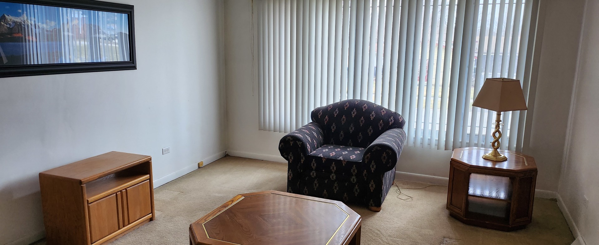 Undisclosed Address Midlothian, IL 60445 - Photo 3 of 23 a living room with furniture and a fireplace