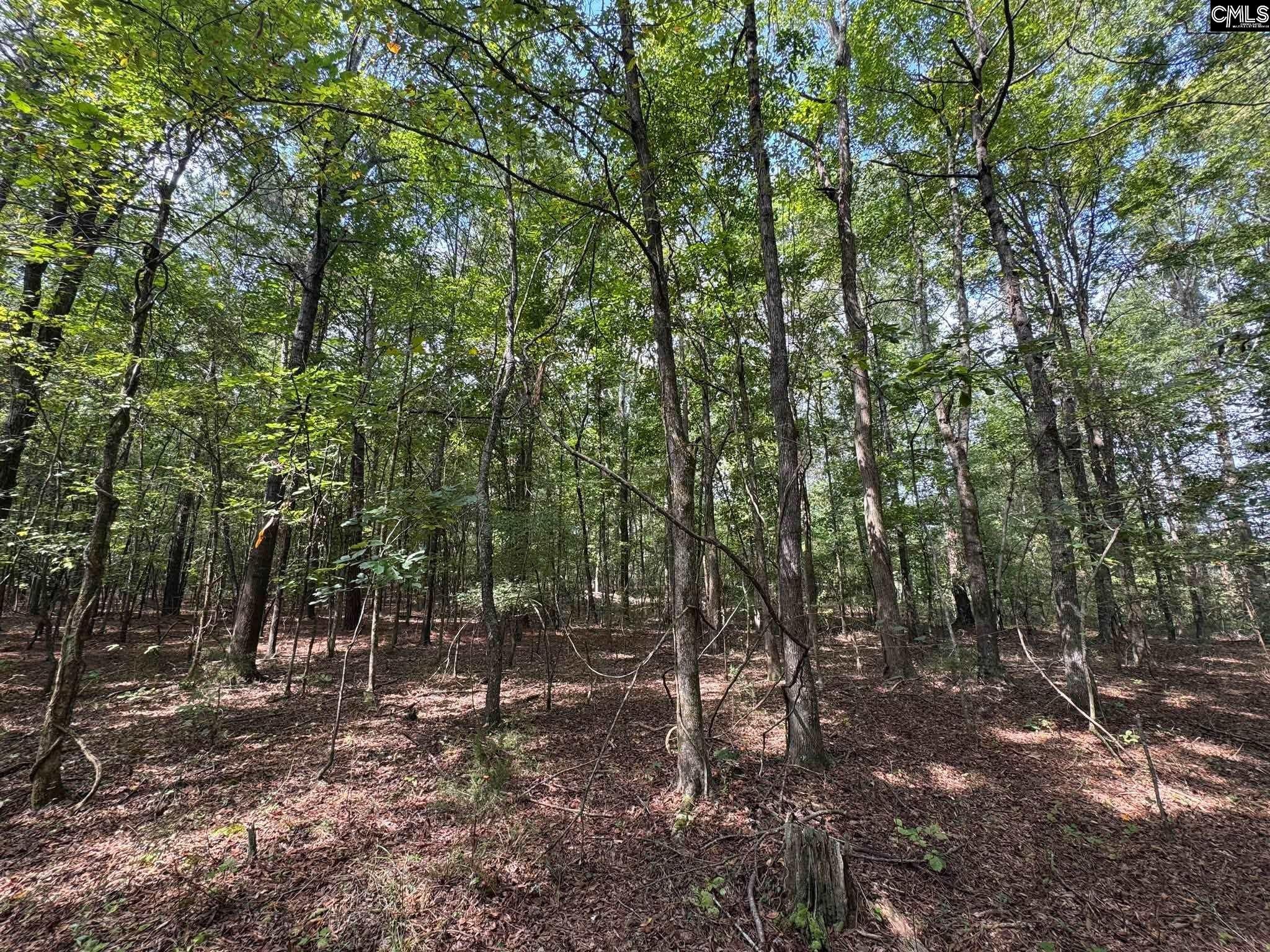 Pencreek Road Johnston, SC 29832 - Photo 17 of 59 Gallery Image 17