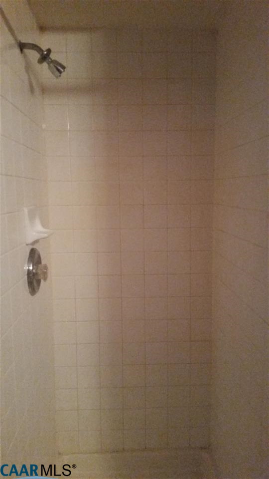 6601 Courthouse Road Louisa, VA 23093 - Photo 19 of 36 a close up of a shower