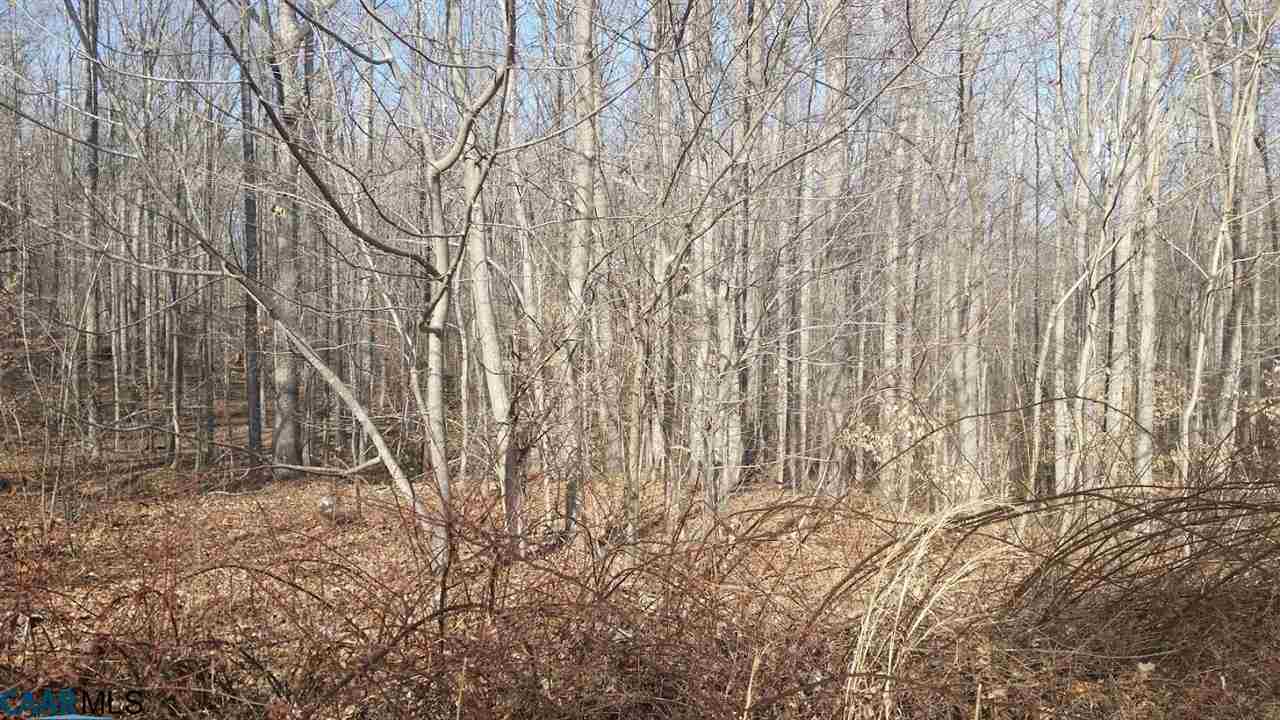 6601 Courthouse Road Louisa, VA 23093 - Photo 35 of 36 a view of wooden floor with a dry yard