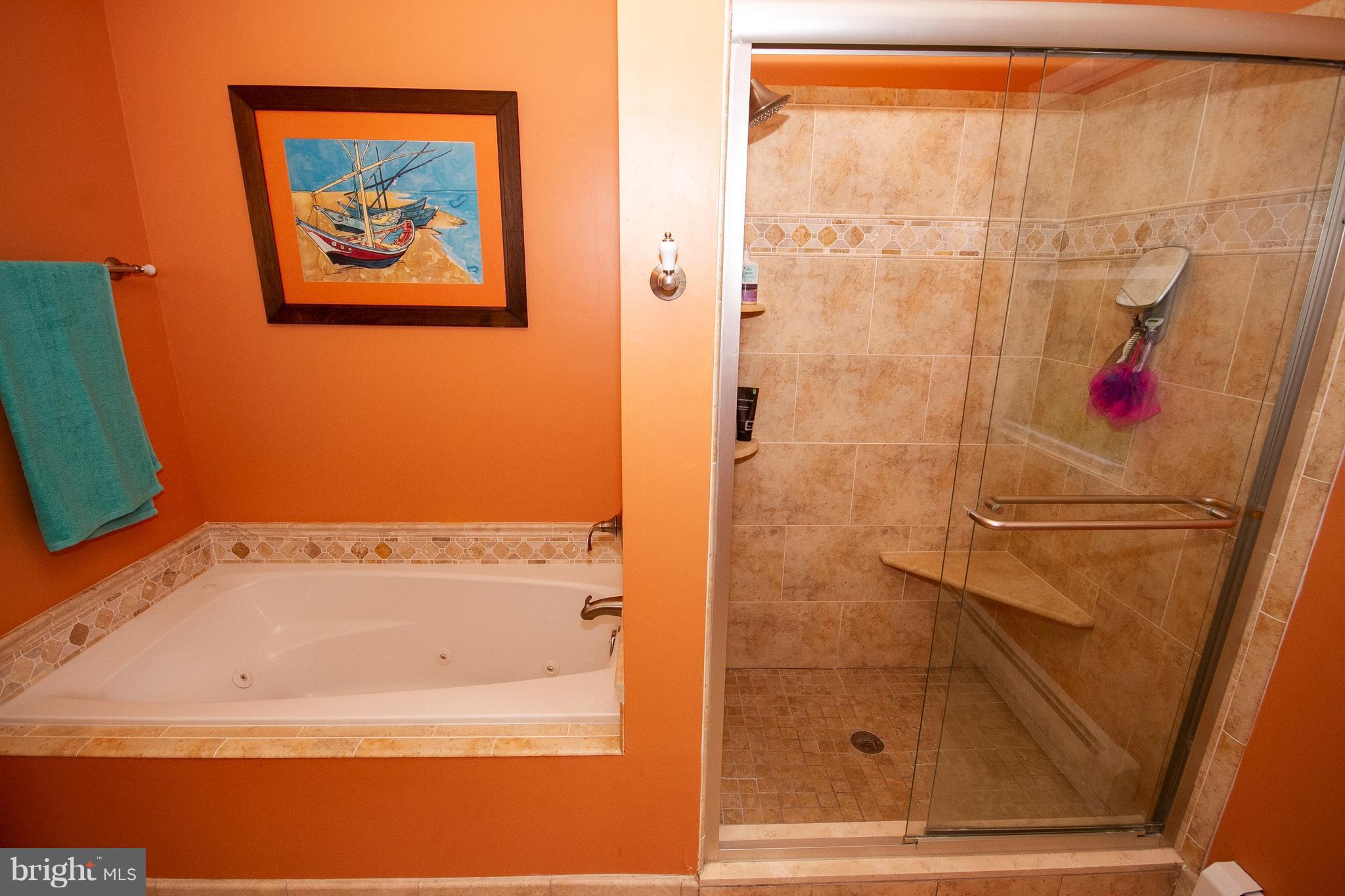 5029 Durham Road East Columbia, MD 21044 - Photo 19 of 27 Bath (Master)