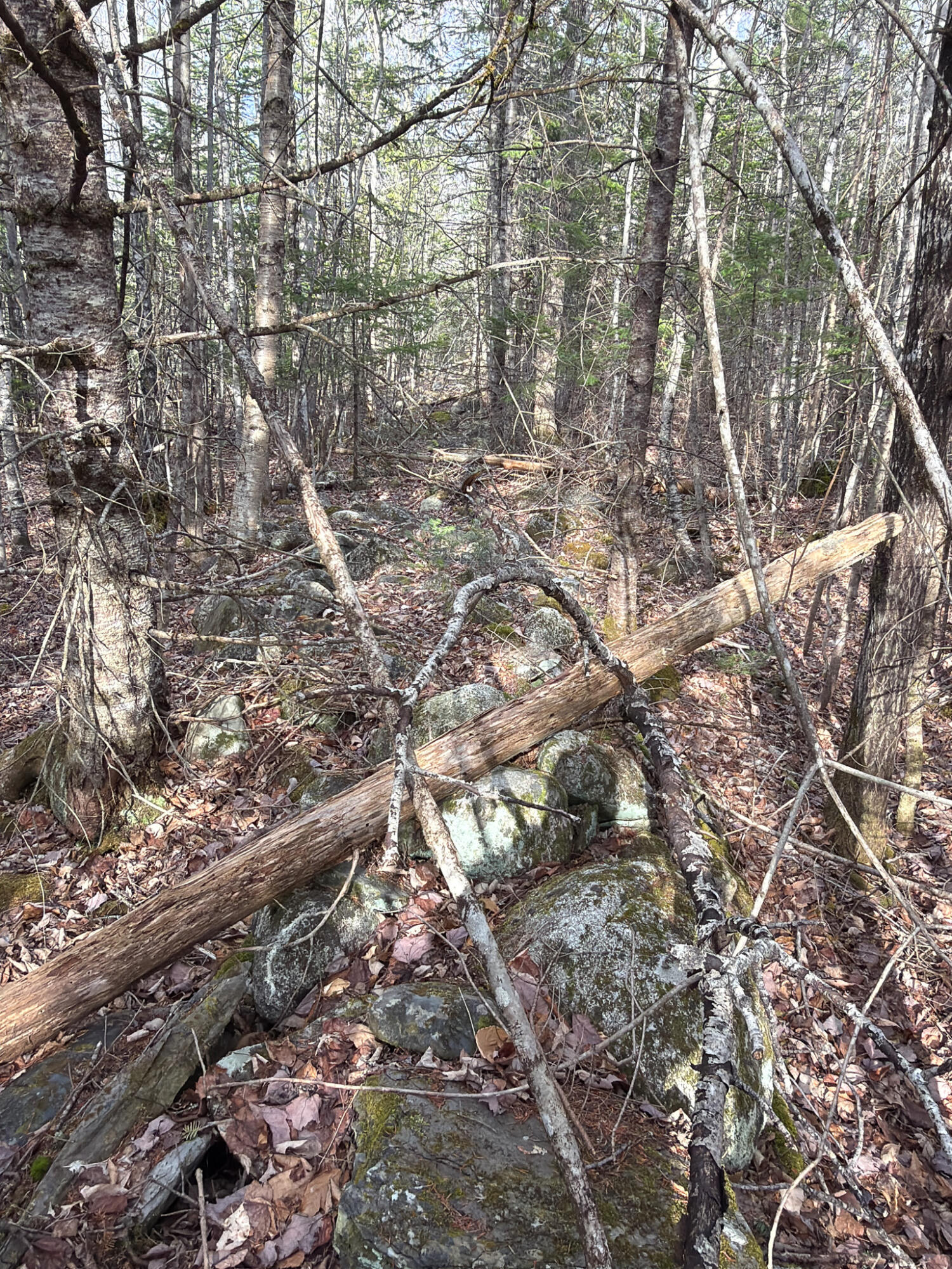 485 Hudson Road Corinth, ME 04427 - Photo 32 of 38 IMG_4758