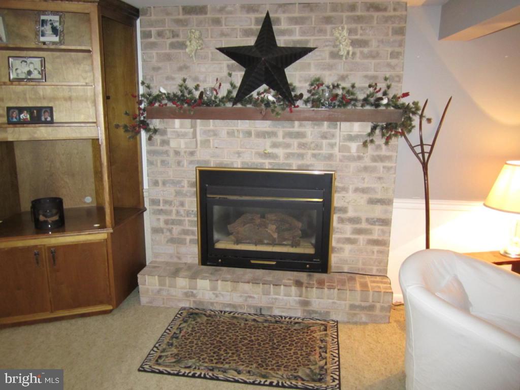11 Buch Mill Road Lititz, PA 17543 - Photo 2 of 21