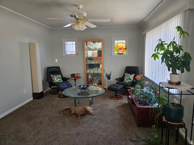 250 West 200 N Street Beaver, UT 84713 - Photo 19 of 63
