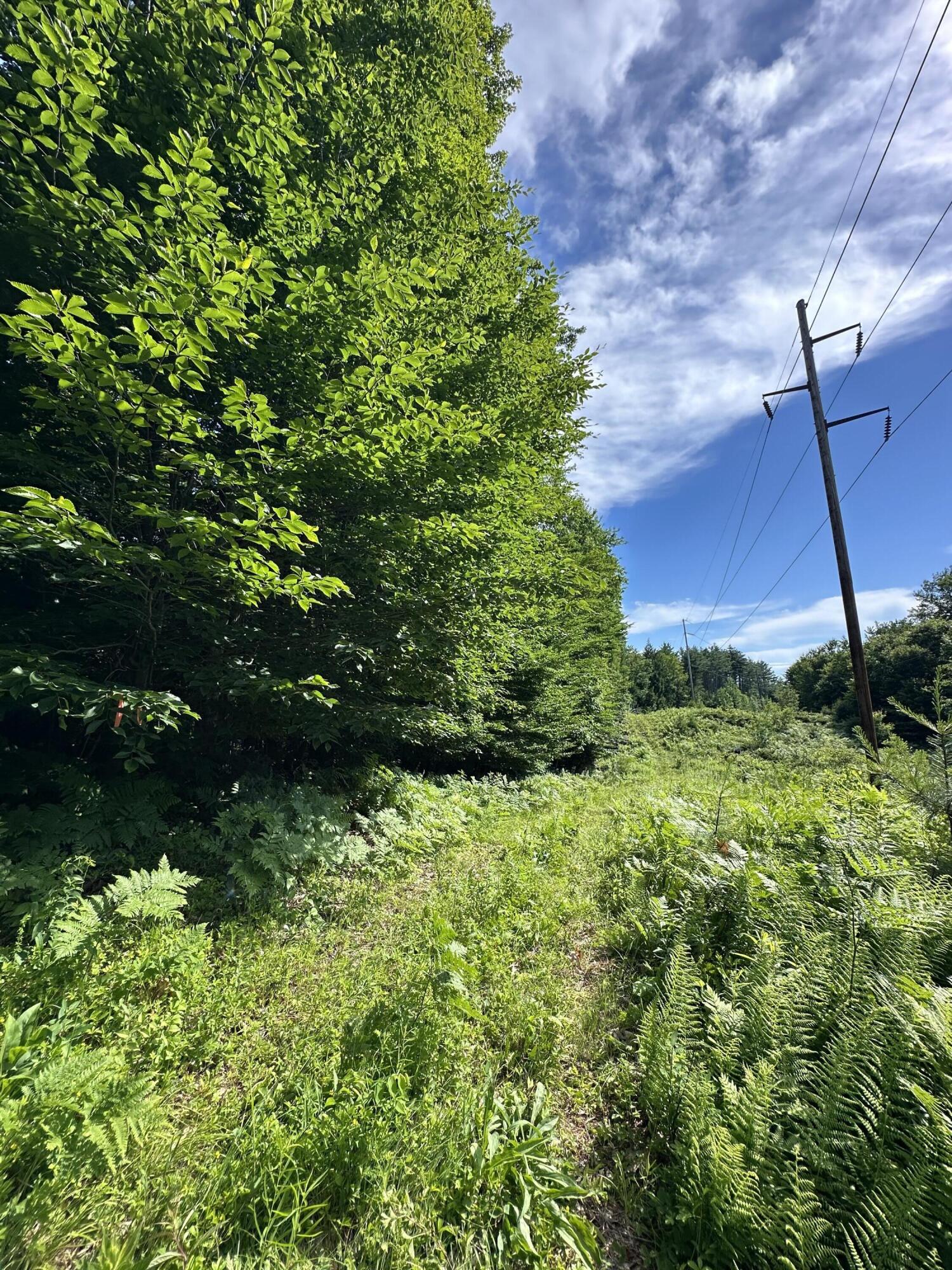 Lot 020 Canton Mountain Road Jay, ME 04239 - Photo 7 of 7