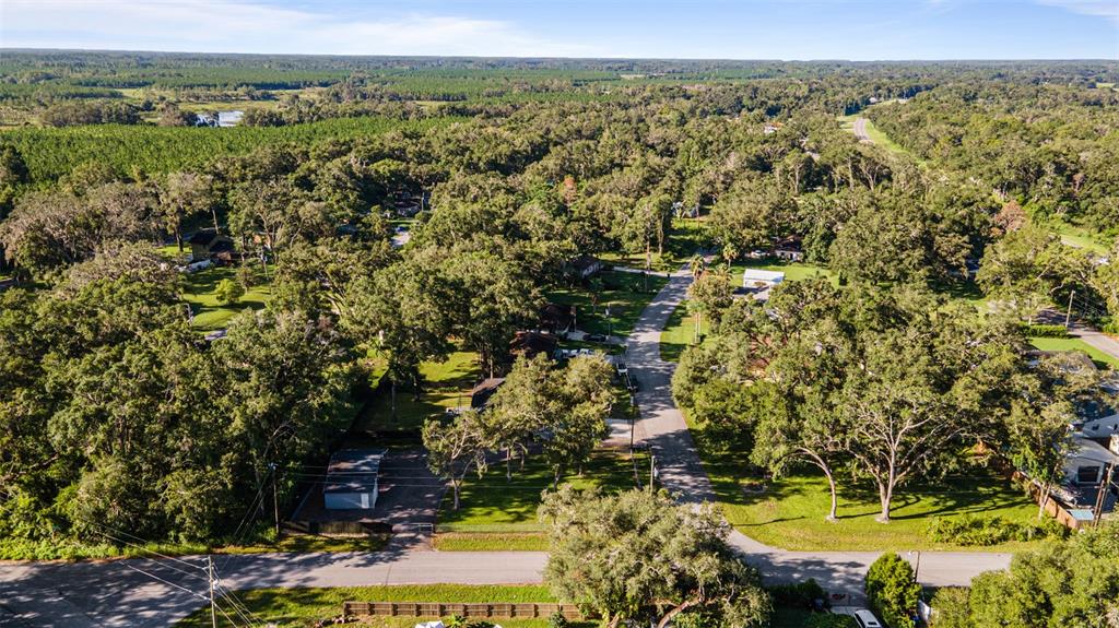 15226 Valdosta Road Spring Hill, FL 34610 - Photo 40 of 42