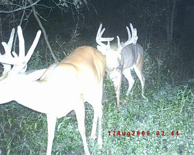 5 Timber Creek Road Lawrenceburg, KY 40342 - Photo 10 of 22 Photo 10