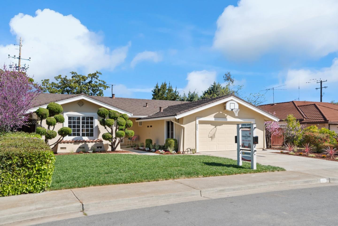 a front view of a house with a yard and potted plants