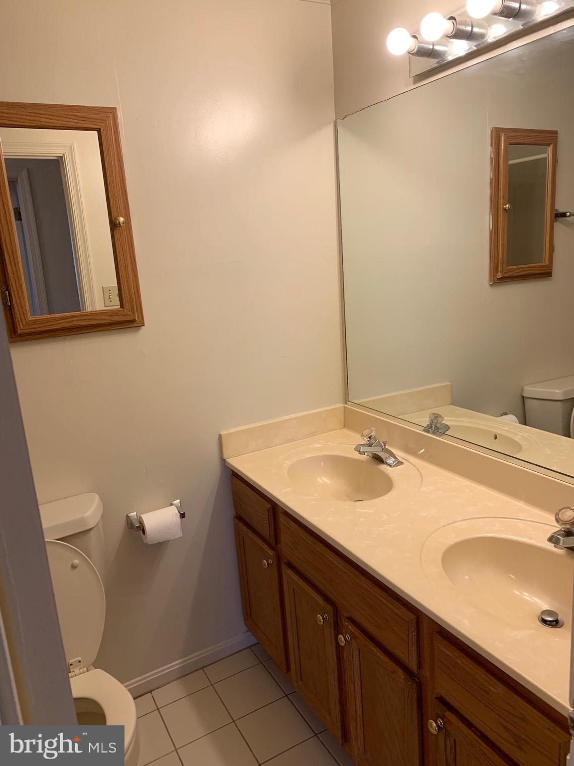 13315 Tamarack Road Silver Spring, MD 20904 - Photo 12 of 30 Hall Bathroom in the upper level