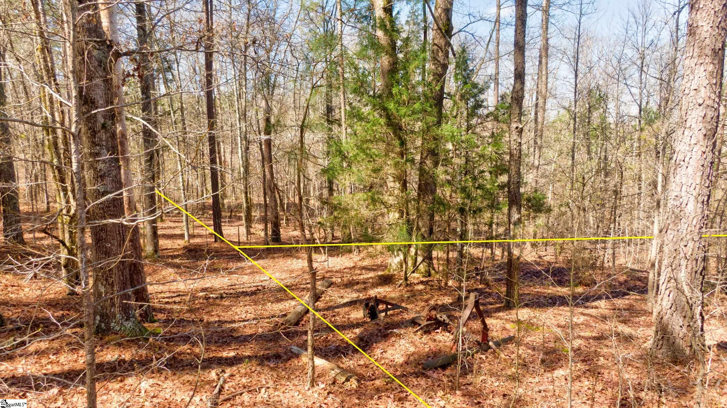 Lot D Lot D Beatty S Bridge Rd Union Union, SC 29379 - Photo 12 of 15