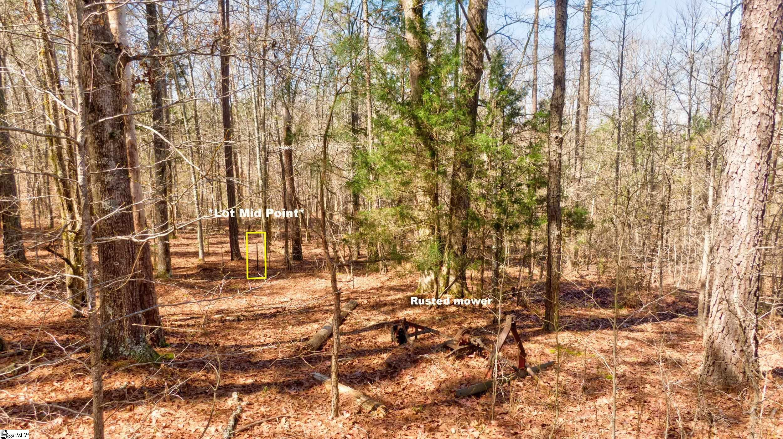 Lot D Lot D Beatty S Bridge Rd Union Union, SC 29379 - Photo 13 of 15