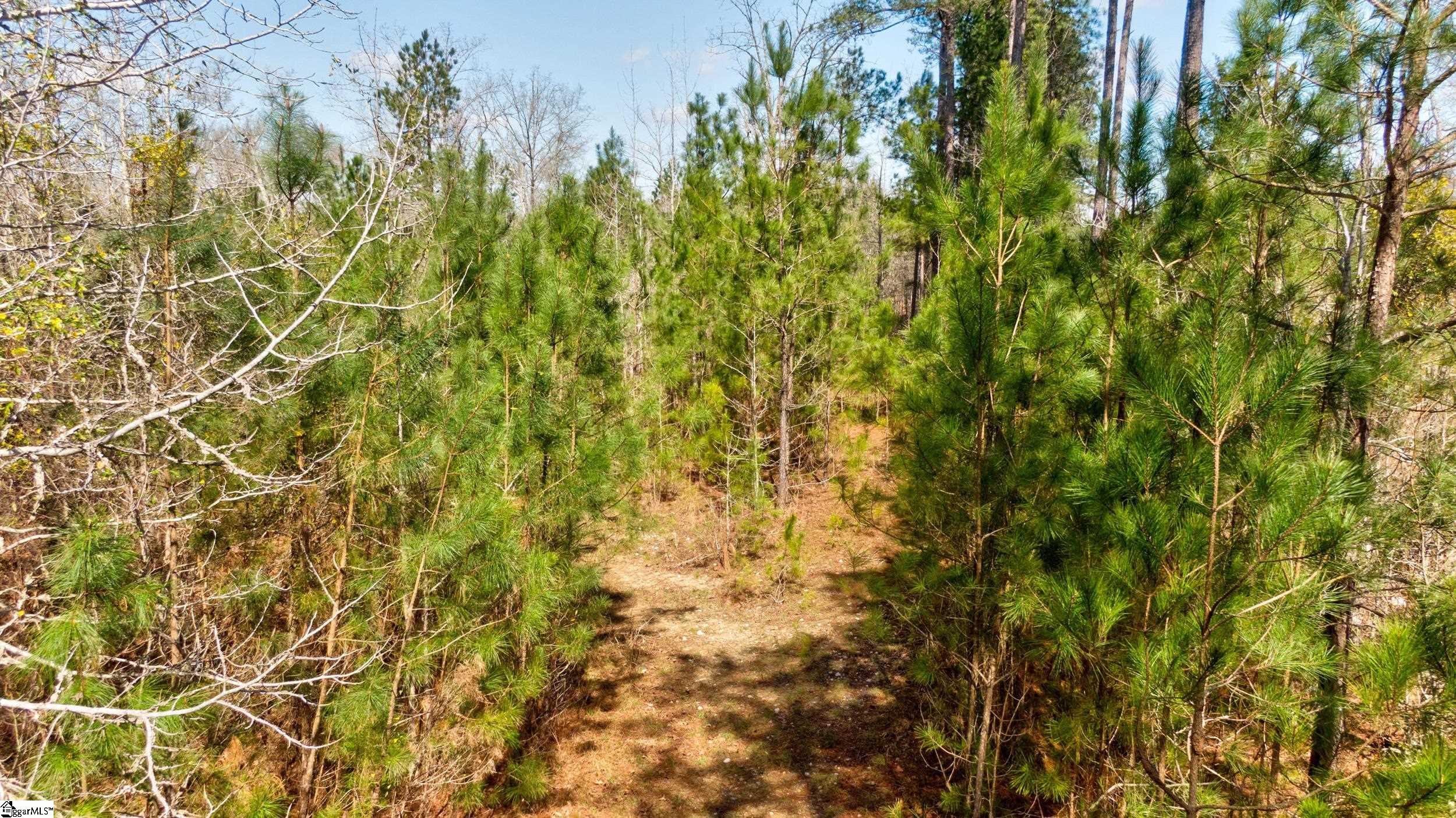 Lot D Lot D Beatty S Bridge Rd Union Union, SC 29379 - Photo 9 of 15