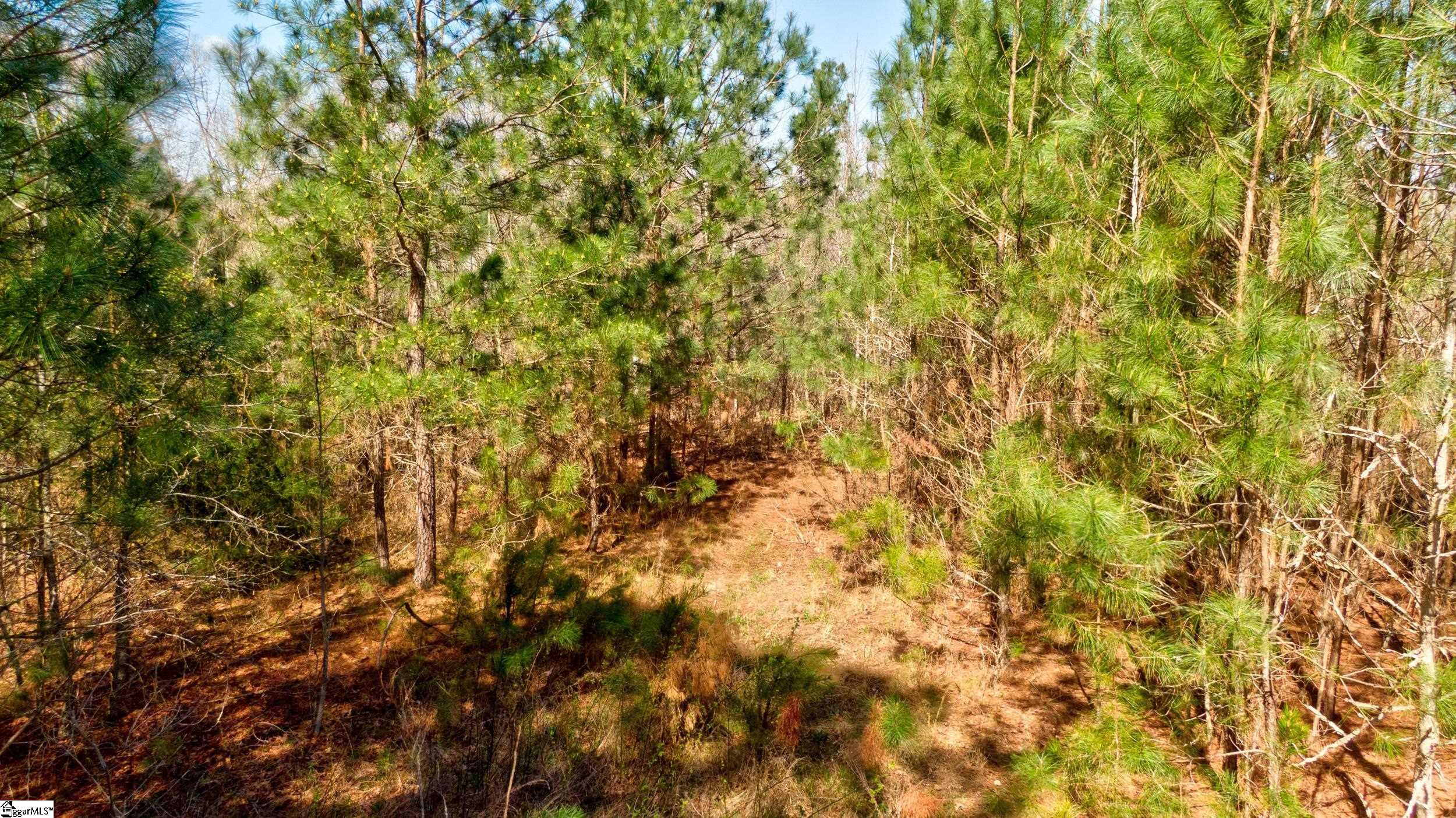 Lot D Lot D Beatty S Bridge Rd Union Union, SC 29379 - Photo 10 of 15