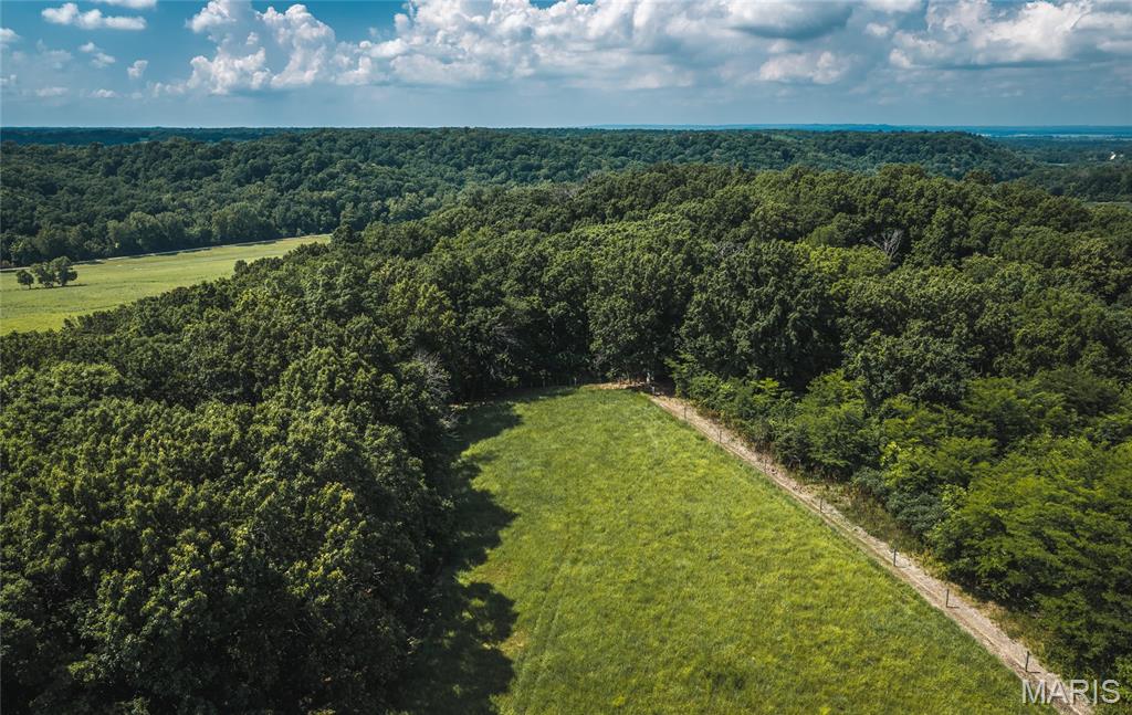 2924 Bess Hollow Road Kampsville, IL 62053 - Photo 91 of 96
