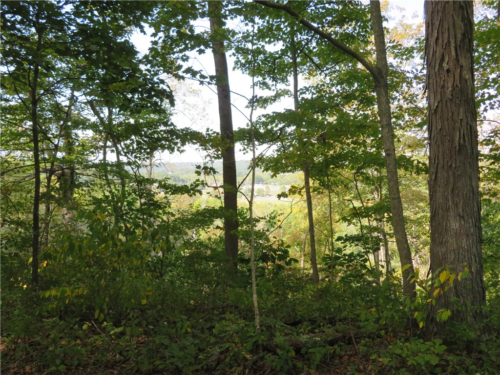 748 Inlow Avenue Peebles, OH 45660 - Photo 58 of 61 This scenic overlook provides serene woodland views with distant community glimpses.