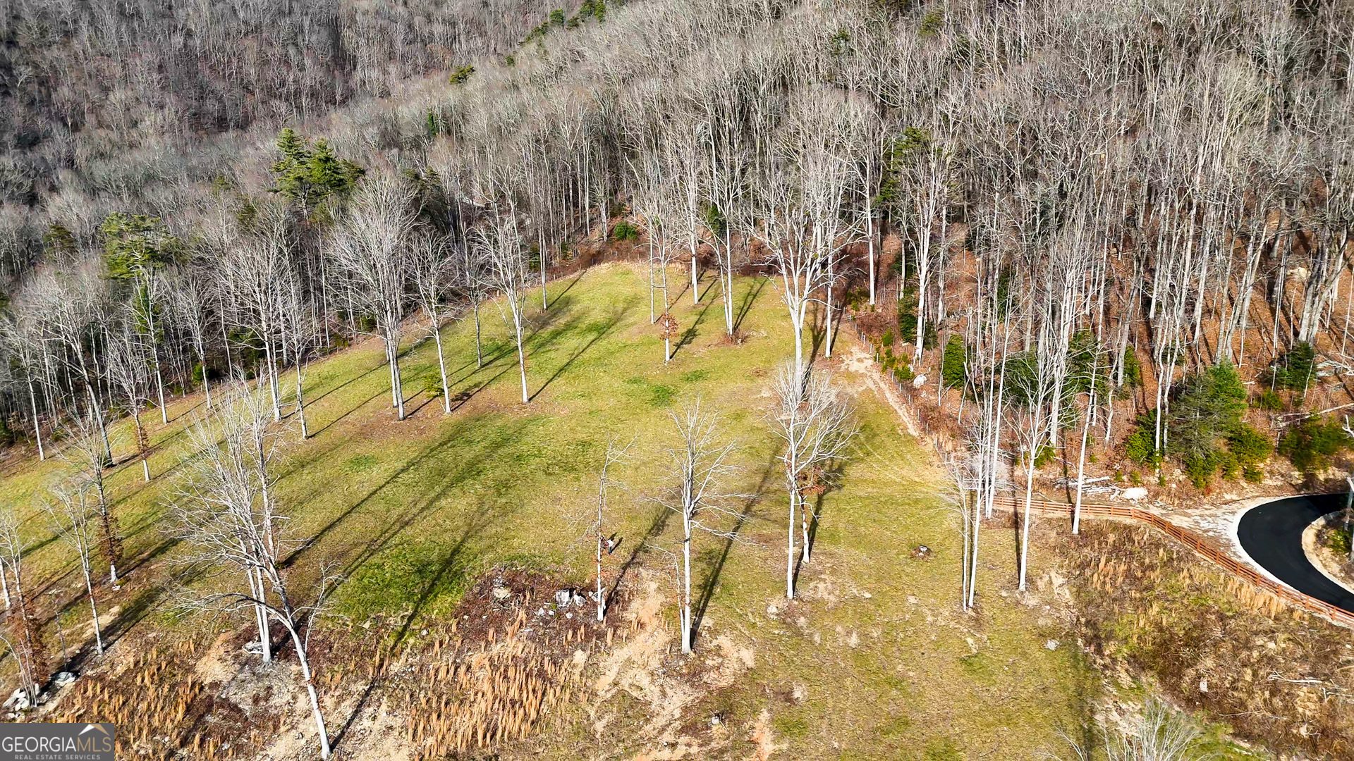 0 David Drive Tiger, GA 30576 - Photo 11 of 26 a view of swimming pool from a lake view