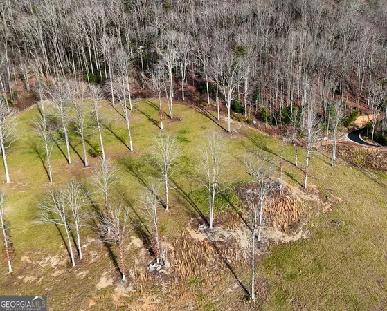 $700,000 | 0 David Drive, Tiger, GA 30576