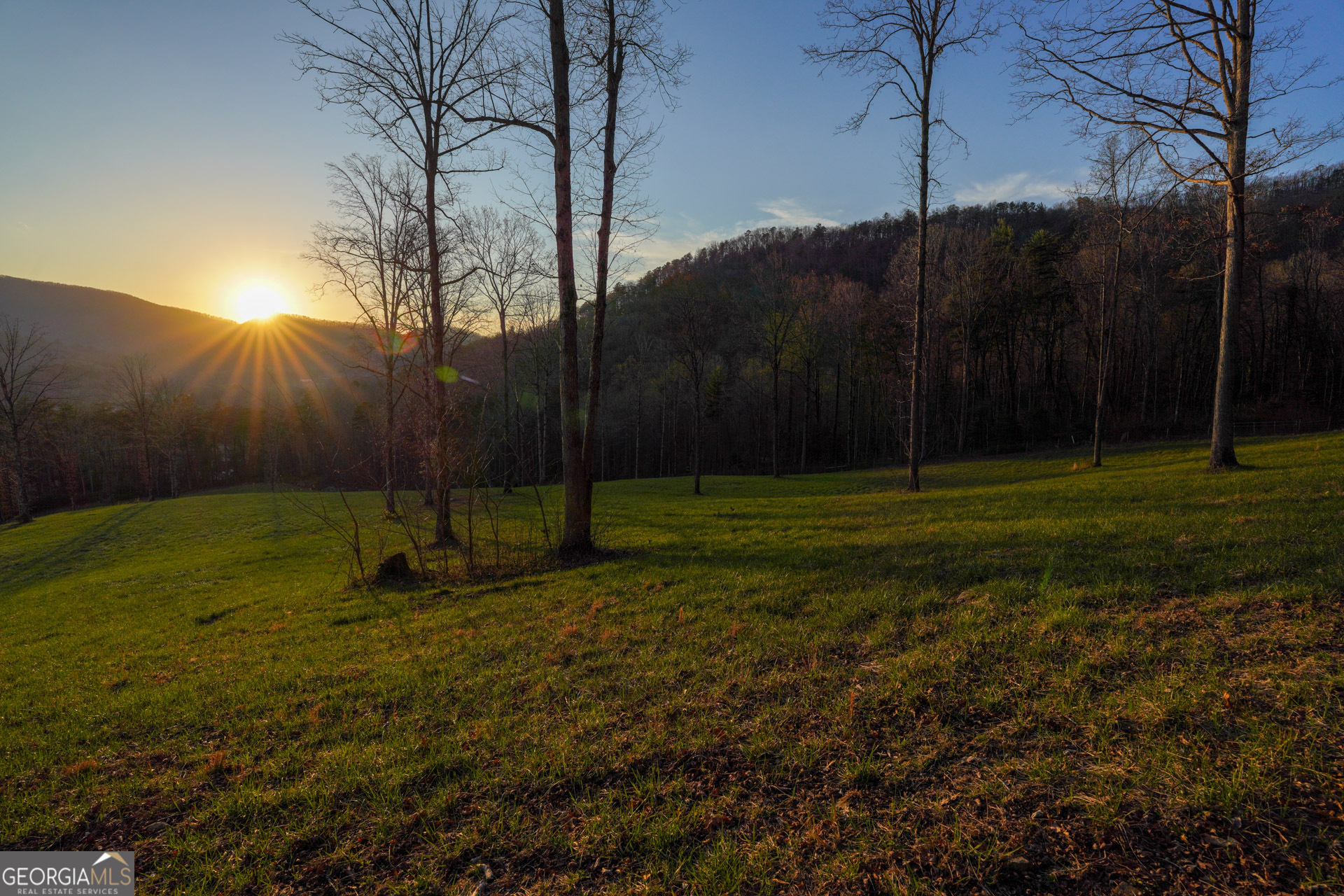 0 David Drive Tiger, GA 30576 - Photo 14 of 26 a backyard of a house