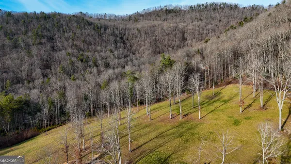 $700,000 | 0 David Drive, Tiger, GA 30576