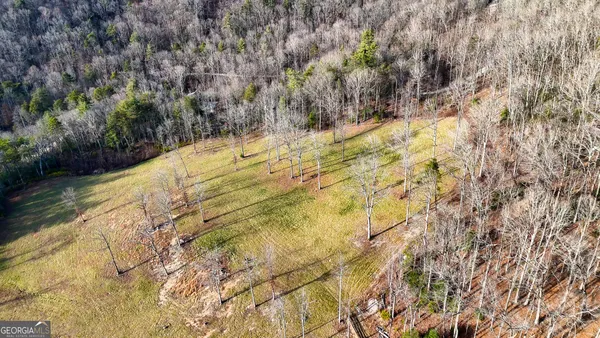 $700,000 | 0 David Drive, Tiger, GA 30576