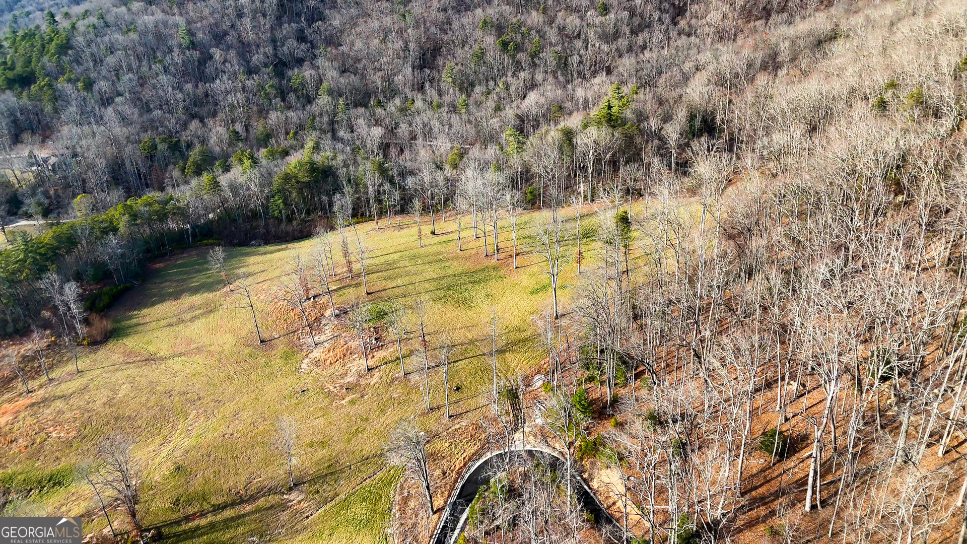 0 David Drive Tiger, GA 30576 - Photo 19 of 26 a view of side of a yard