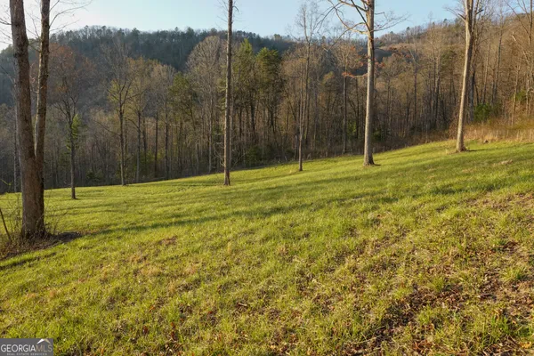 $700,000 | 0 David Drive, Tiger, GA 30576