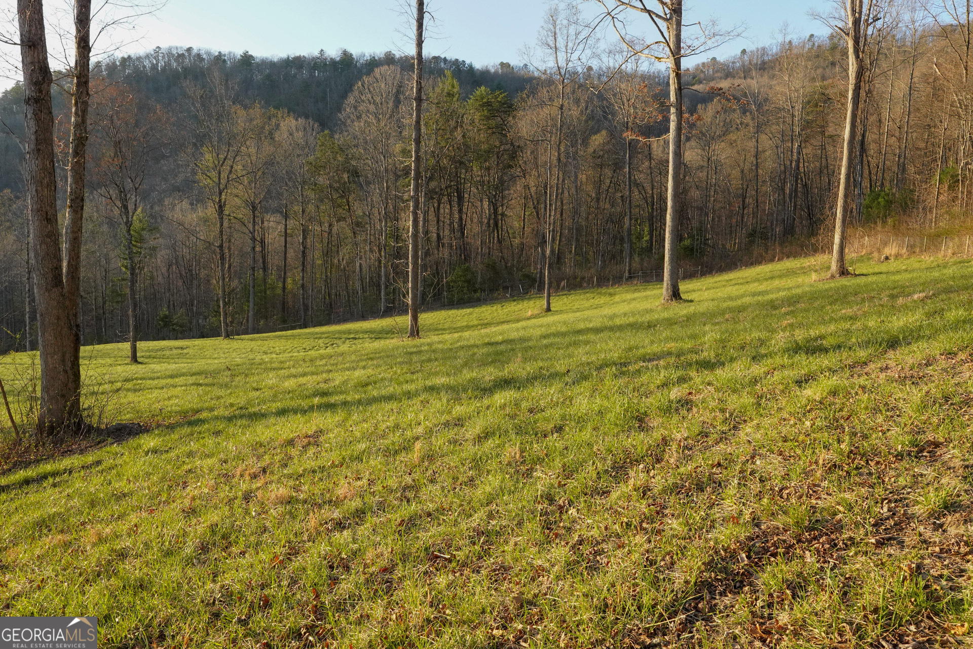 0 David Drive Tiger, GA 30576 - Photo 2 of 26 a view of a outdoor space