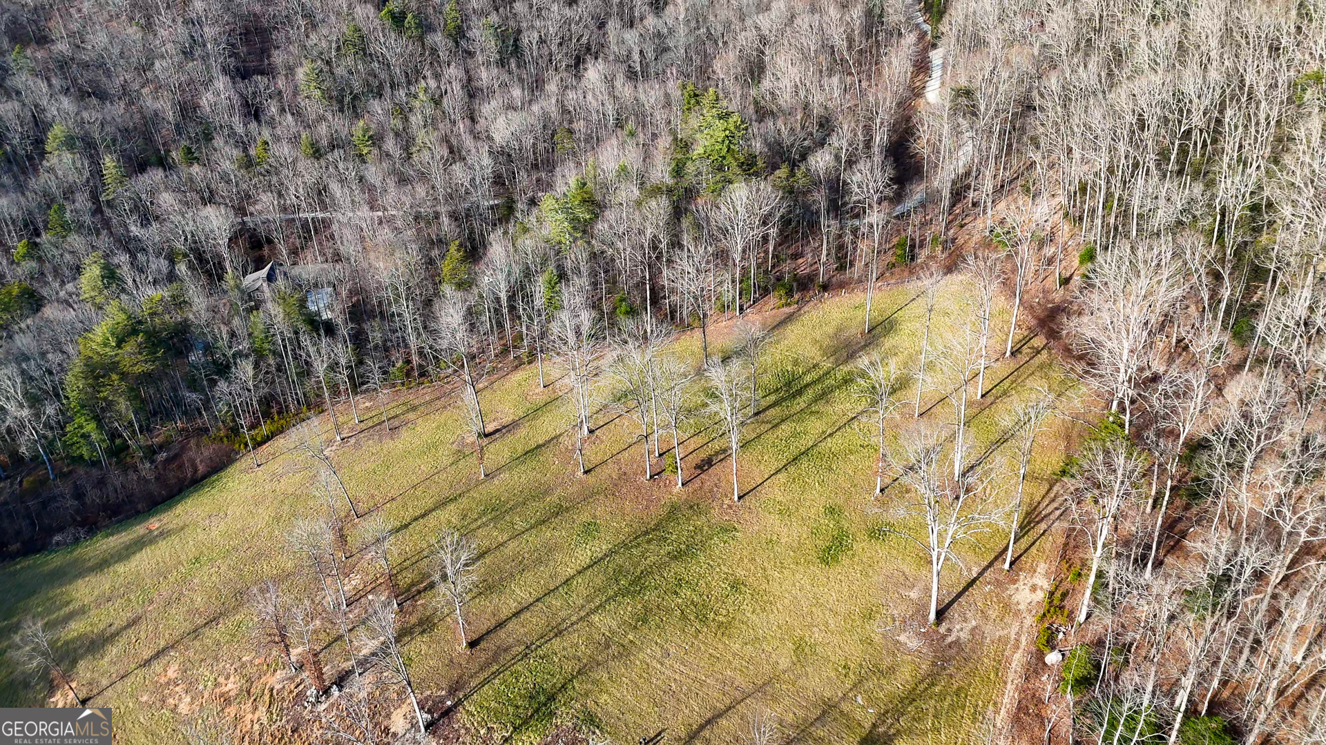 0 David Drive Tiger, GA 30576 - Photo 22 of 26 a view of a yard