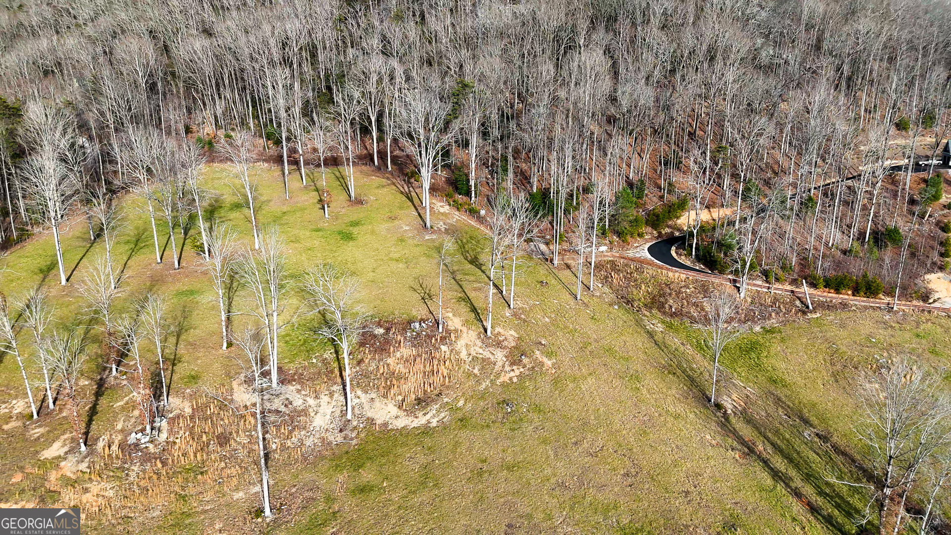0 David Drive Tiger, GA 30576 - Photo 23 of 26 a view of swimming pool
