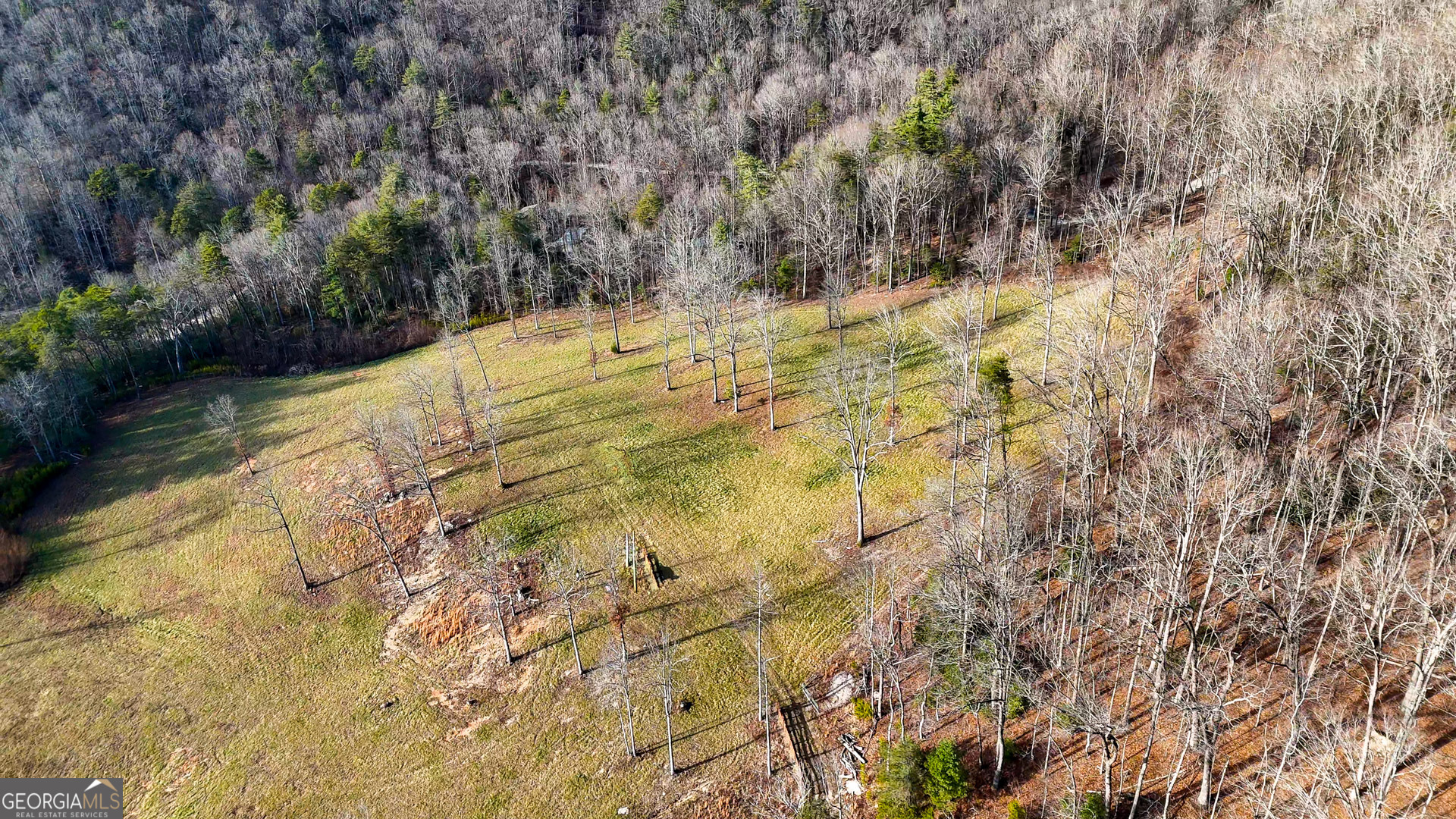 0 David Drive Tiger, GA 30576 - Photo 24 of 26