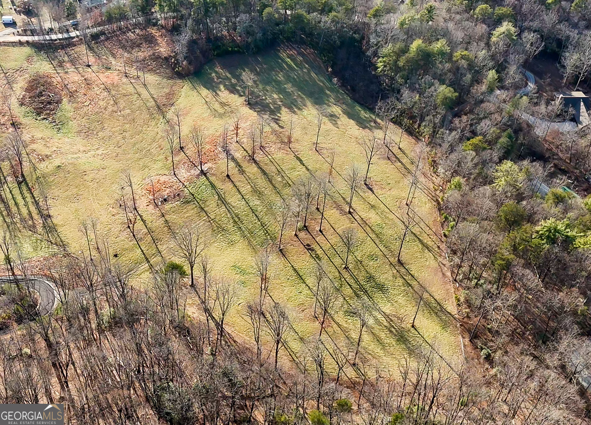 0 David Drive Tiger, GA 30576 - Photo 26 of 26 a view of a yard with plants and wooden fence