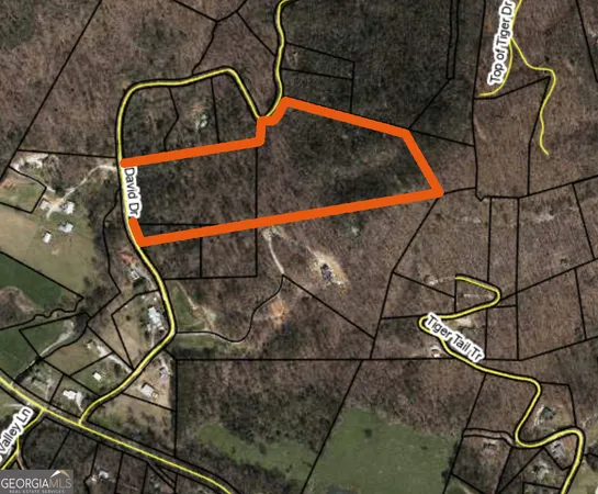 $700,000 | 0 David Drive, Tiger, GA 30576