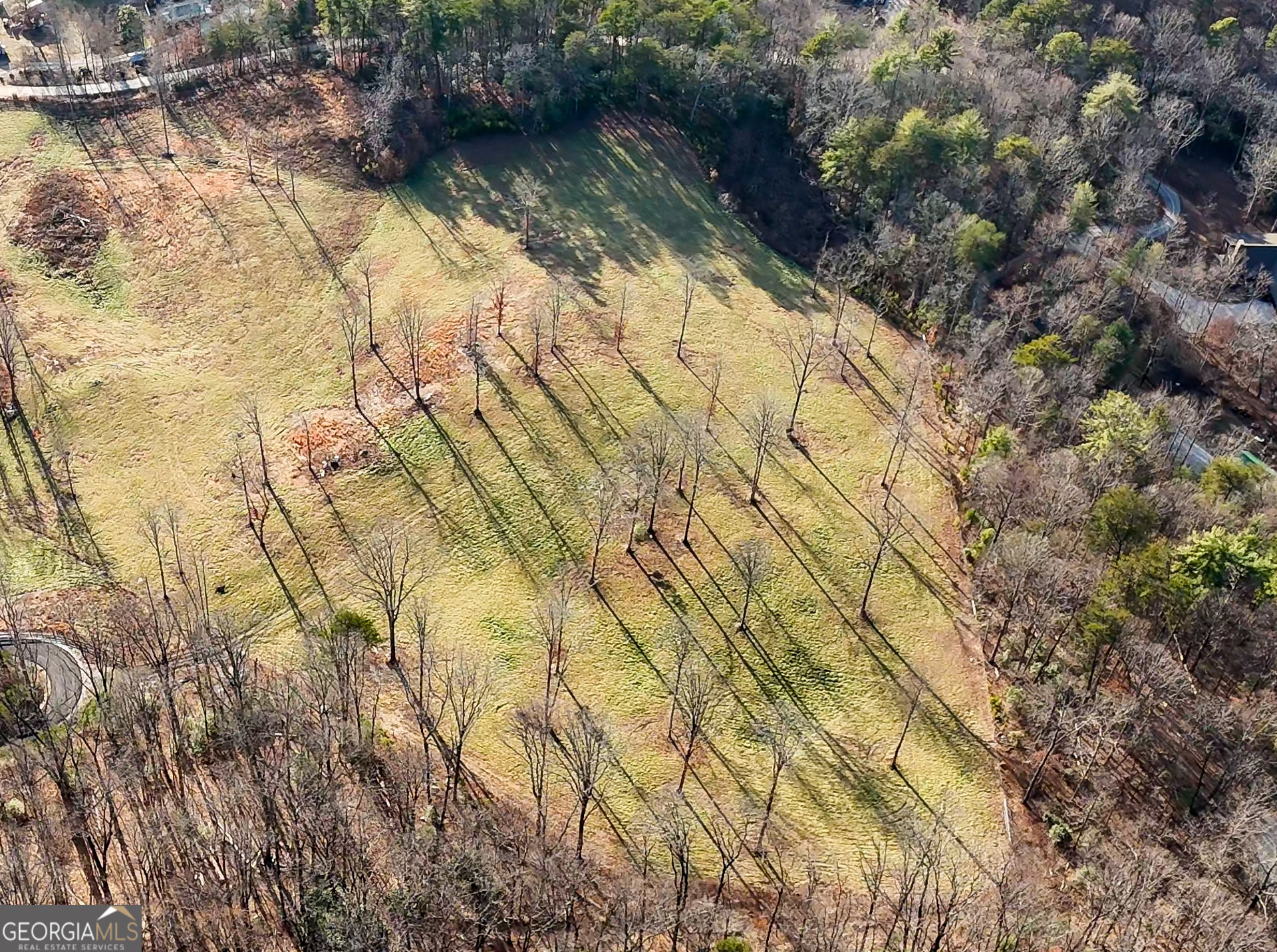 0 David Drive Tiger, GA 30576 - Photo 6 of 26 a view of swimming pool from a lake view