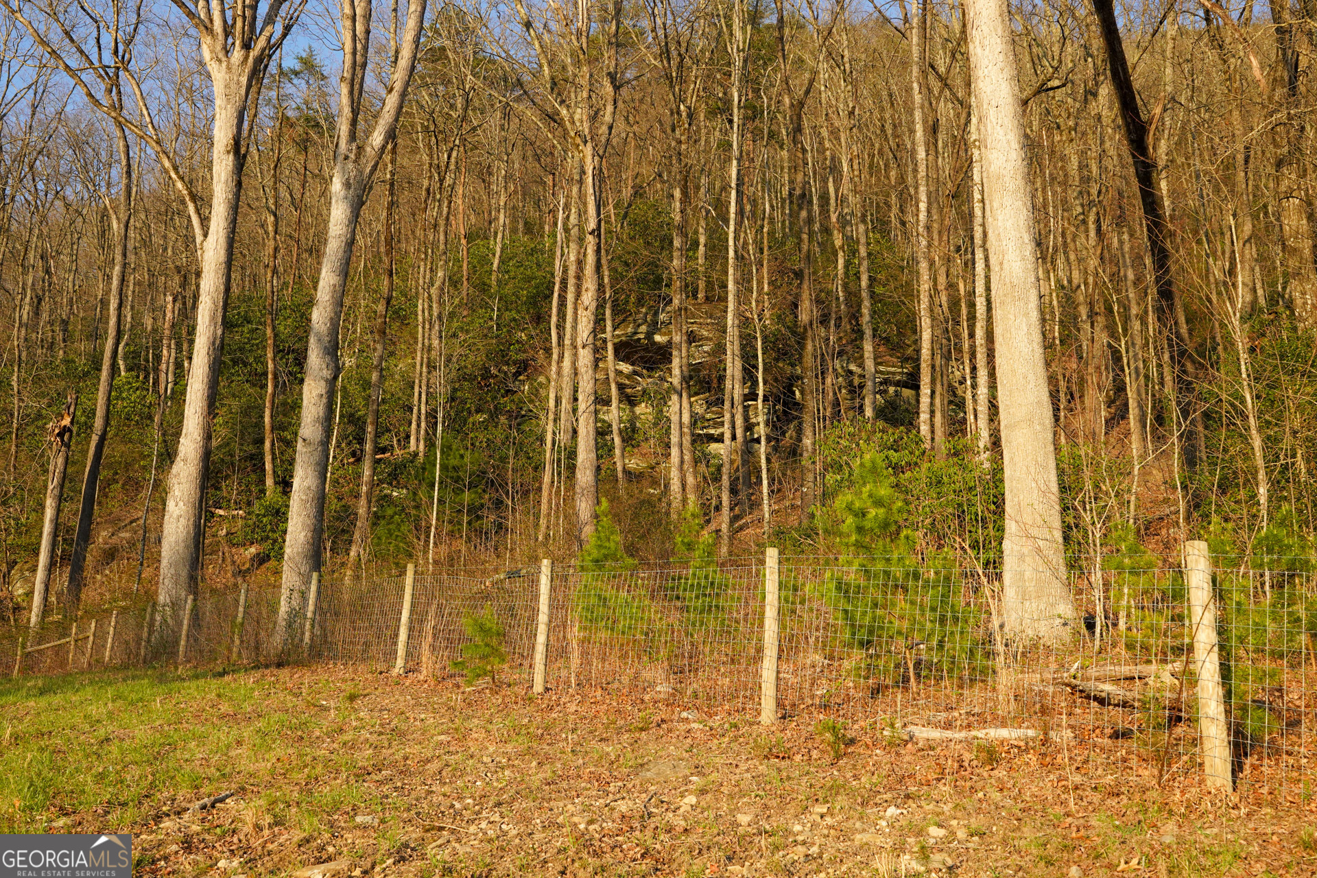 0 David Drive Tiger, GA 30576 - Photo 8 of 26