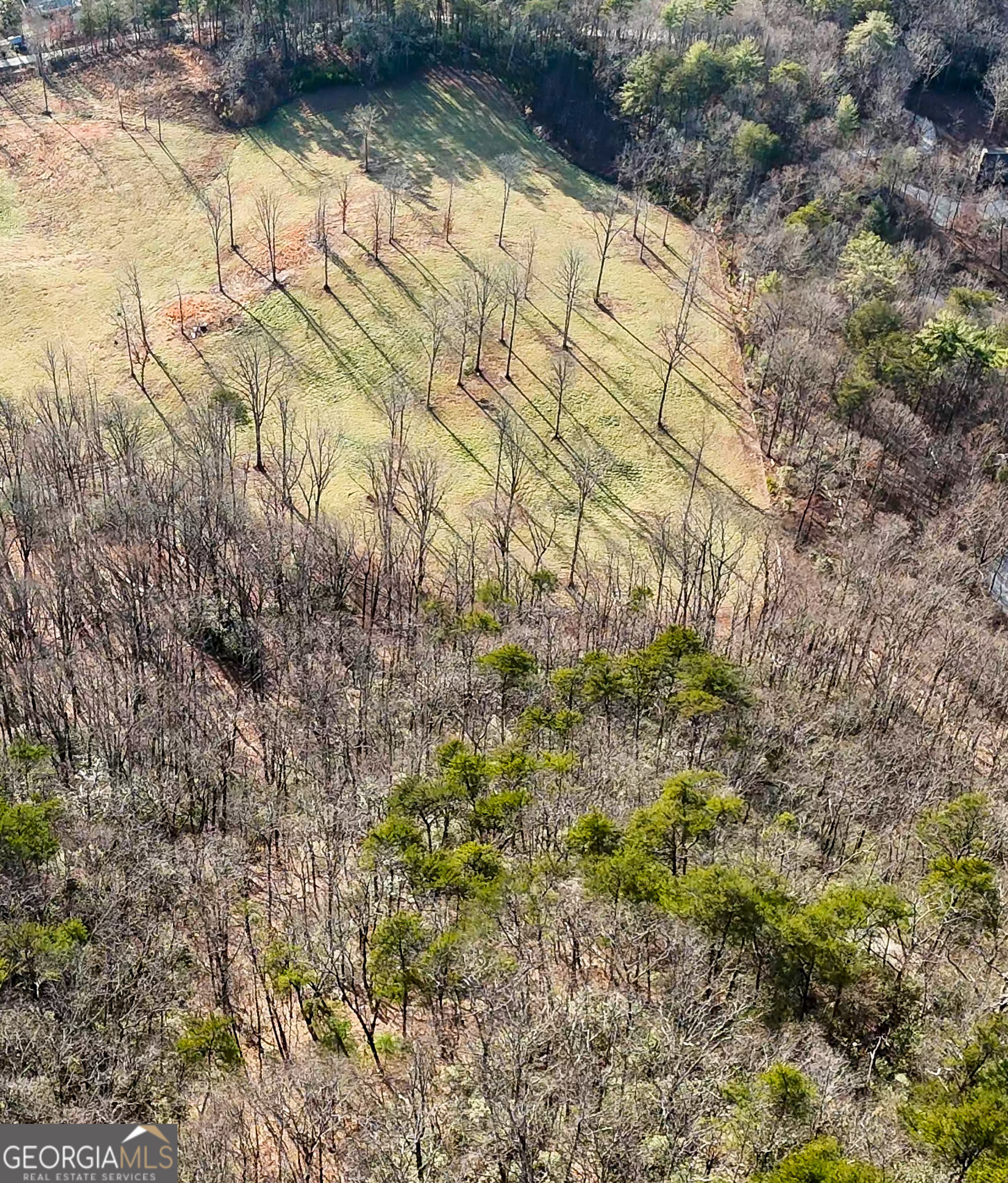 0 David Drive Tiger, GA 30576 - Photo 9 of 26 a backyard of a house with lots of green space