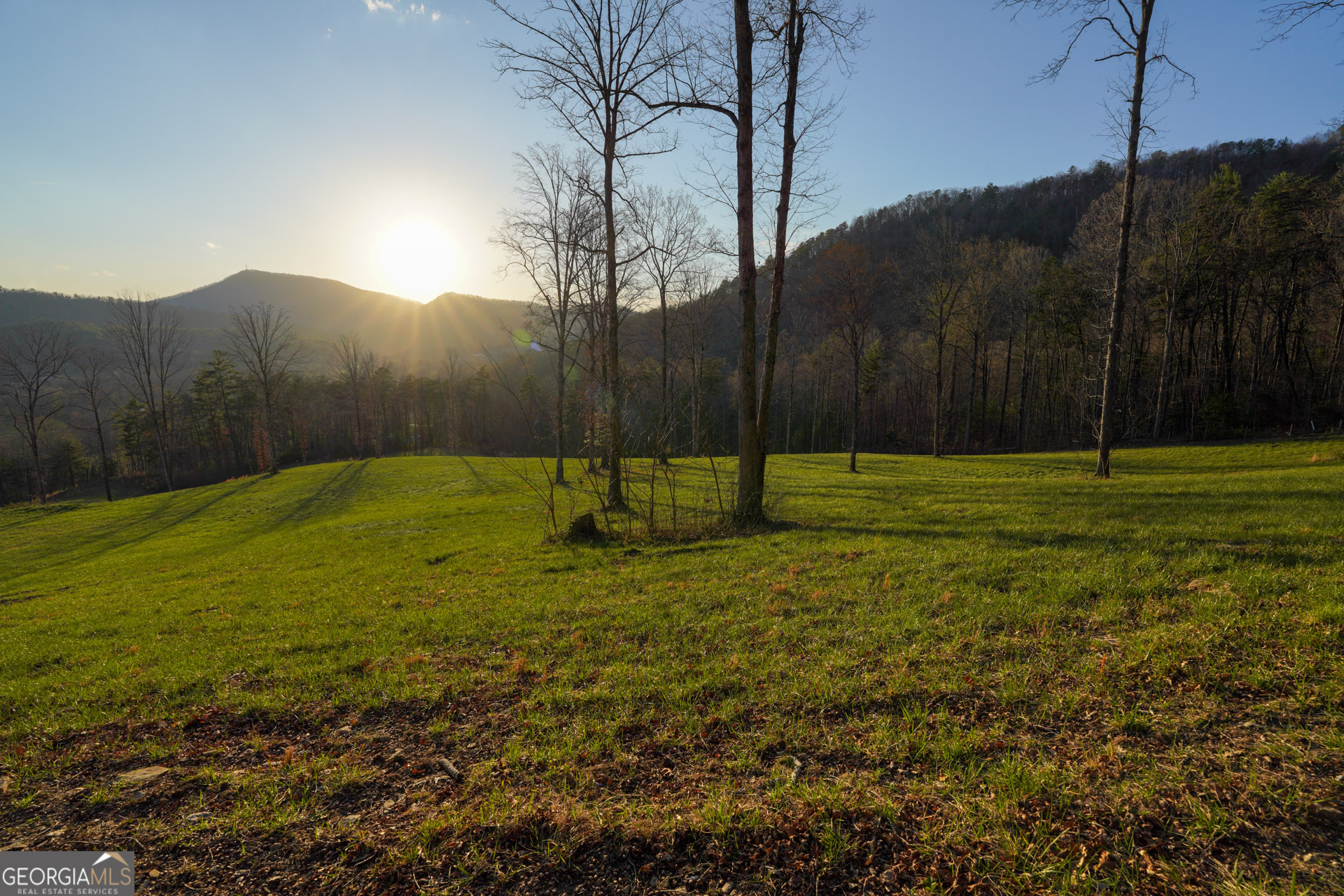 0 David Drive Tiger, GA 30576 - Photo 10 of 26 a backyard of a house